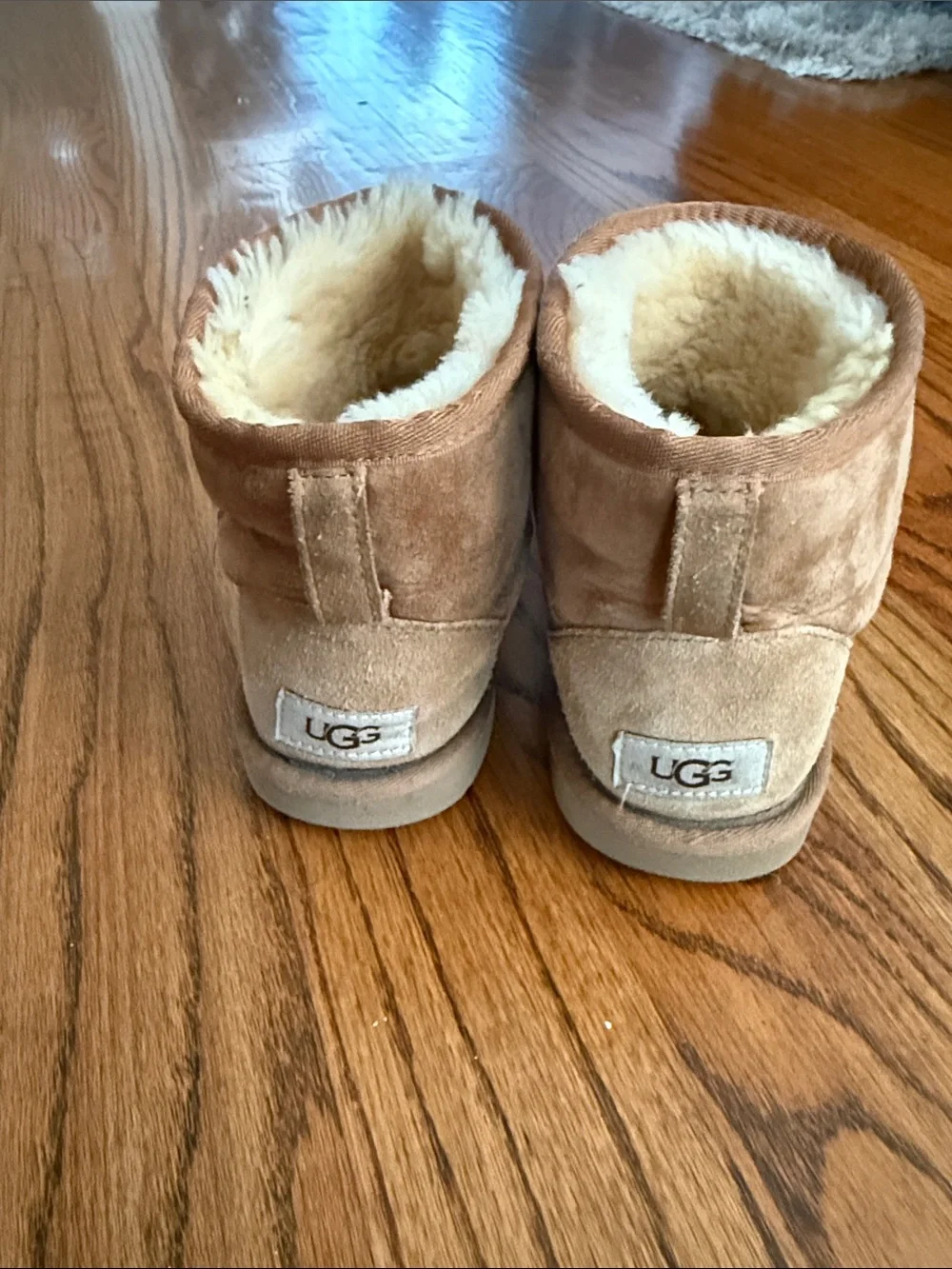 Woman’s Ugg Cozy Shearling-Lined Suede Boots in Chestnut